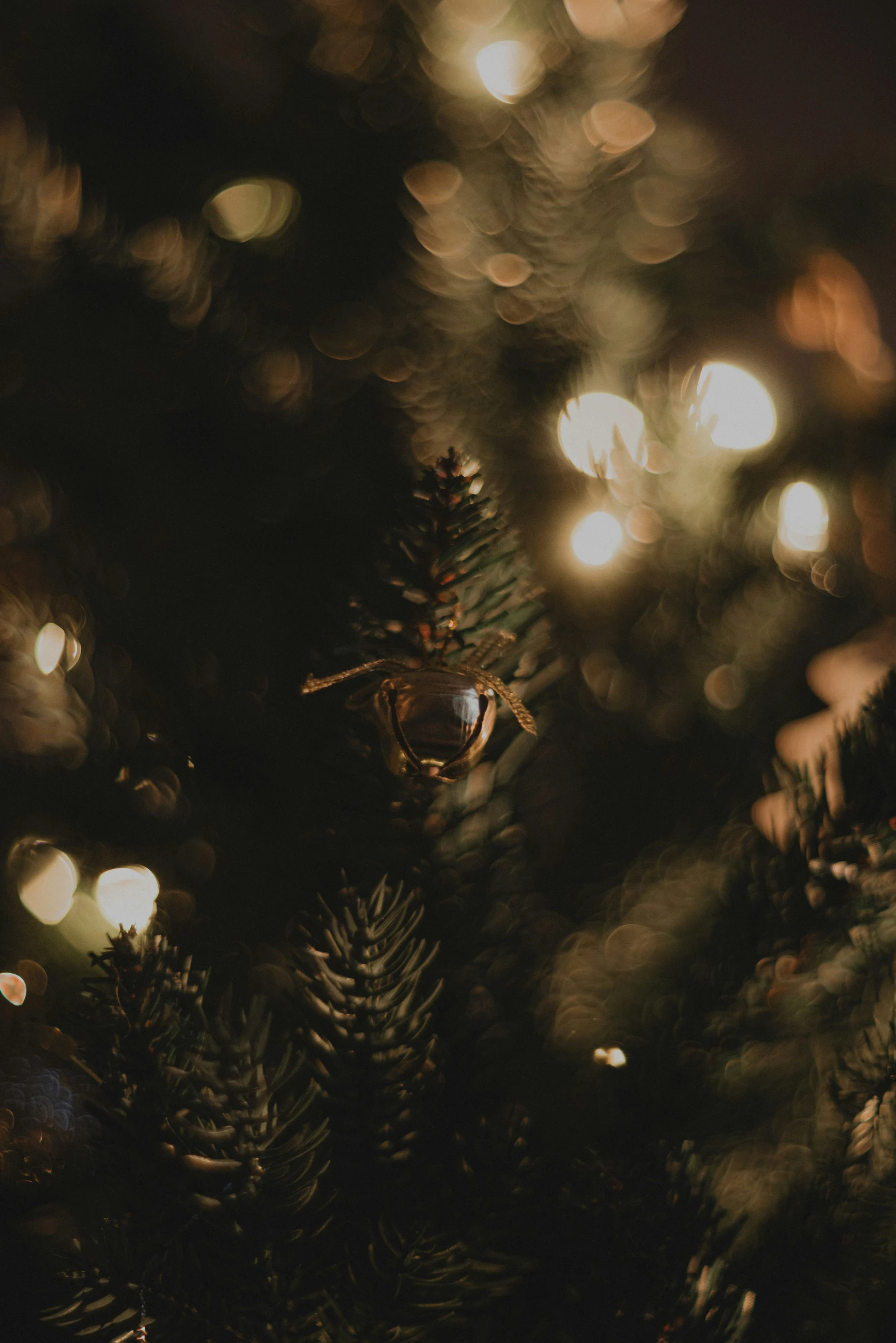 a pine cone is sitting on the tree's needles