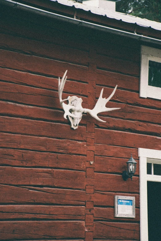 a deer skull mounted to the side of a red barn