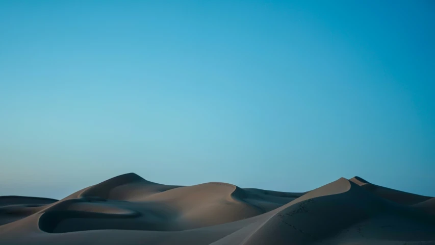 desert scene with the sand dunes covered in sp trees