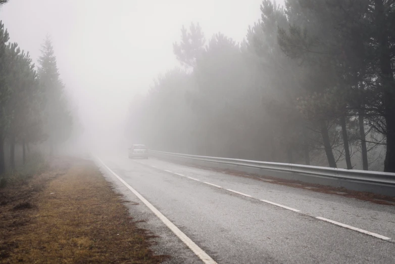 a road with a light in the fog that has trees on either side