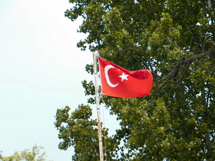 a flag with the coat of turkey flying by