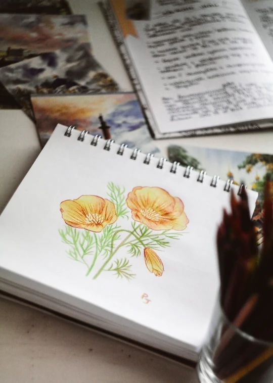 a notebook, pencils and book sit on a desk