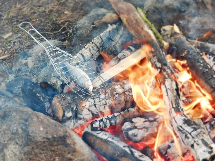 fire and barbecue on a sunny day outdoors