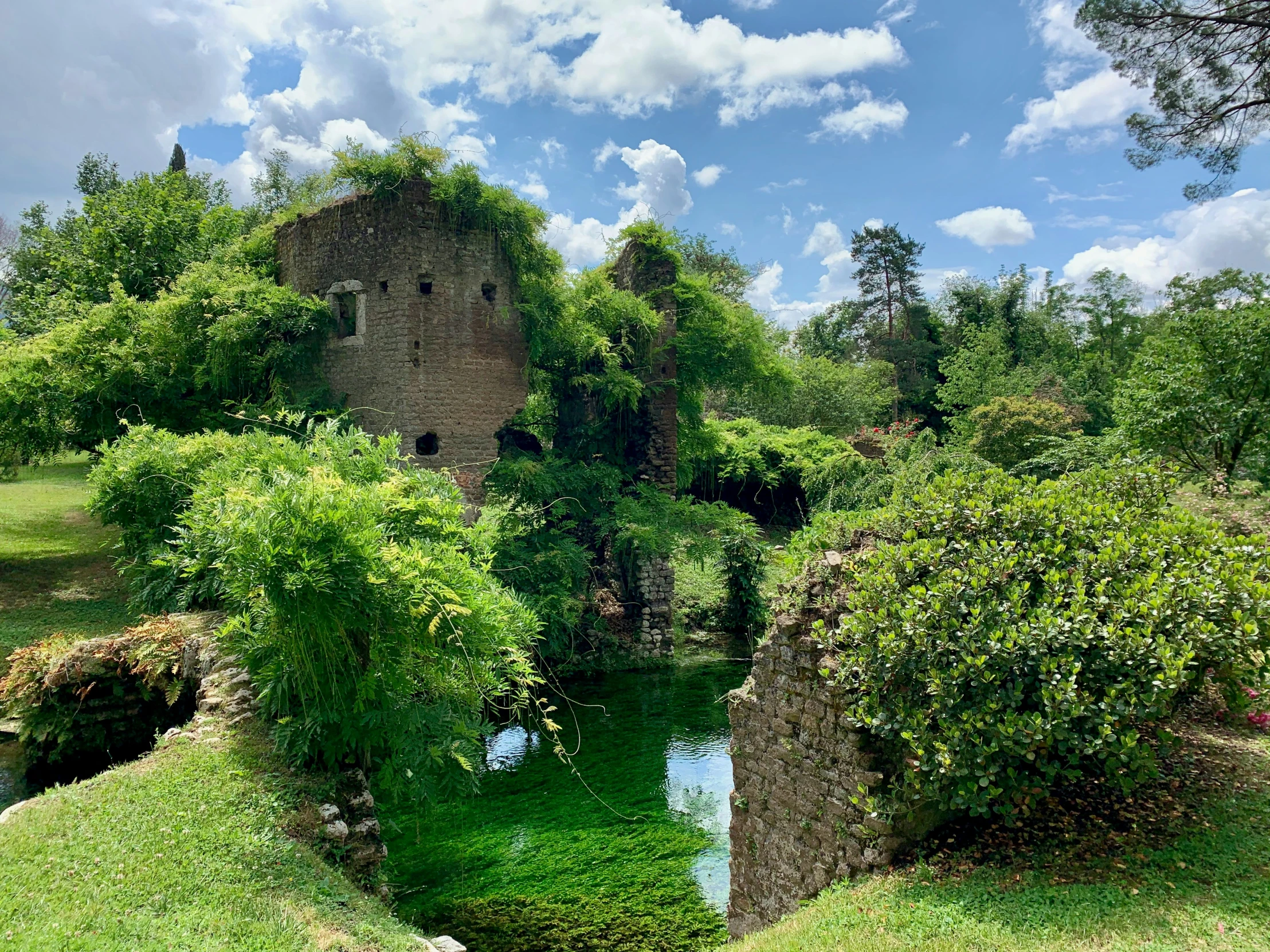 a river in a park surrounded by grass