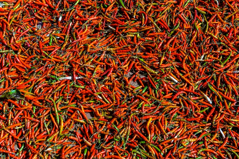 a group of small yellow and orange leaves