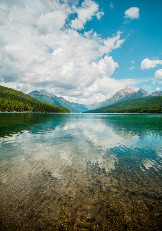 a body of water surrounded by mountains and trees