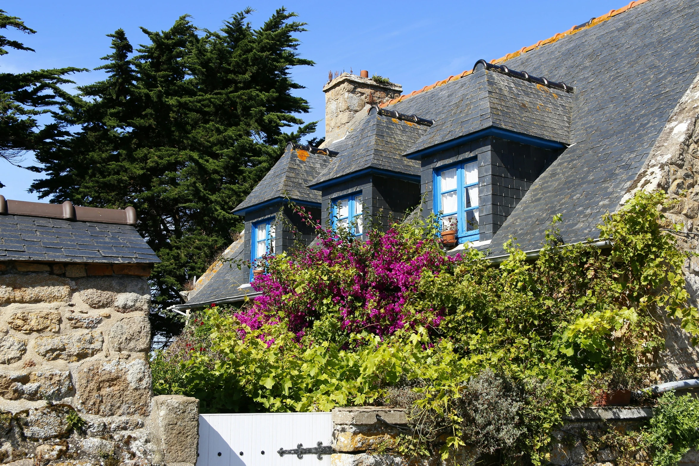 the front view of an old stone building with plants