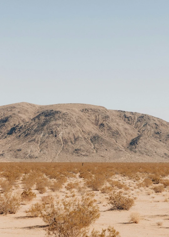 a barren desert with some brown trees in the foreground