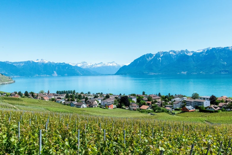 a scenic image of a large area that looks like the city and lake in switzerland