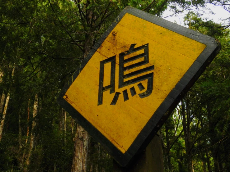 a yellow and black sign with a tree in the background