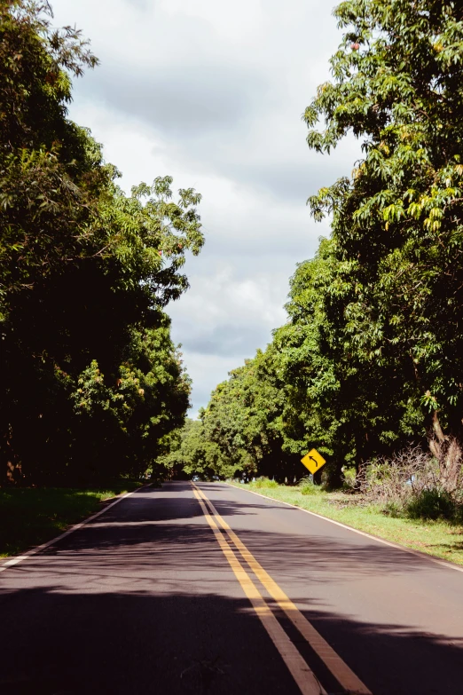 a yellow street sign sitting on the side of a tree lined road