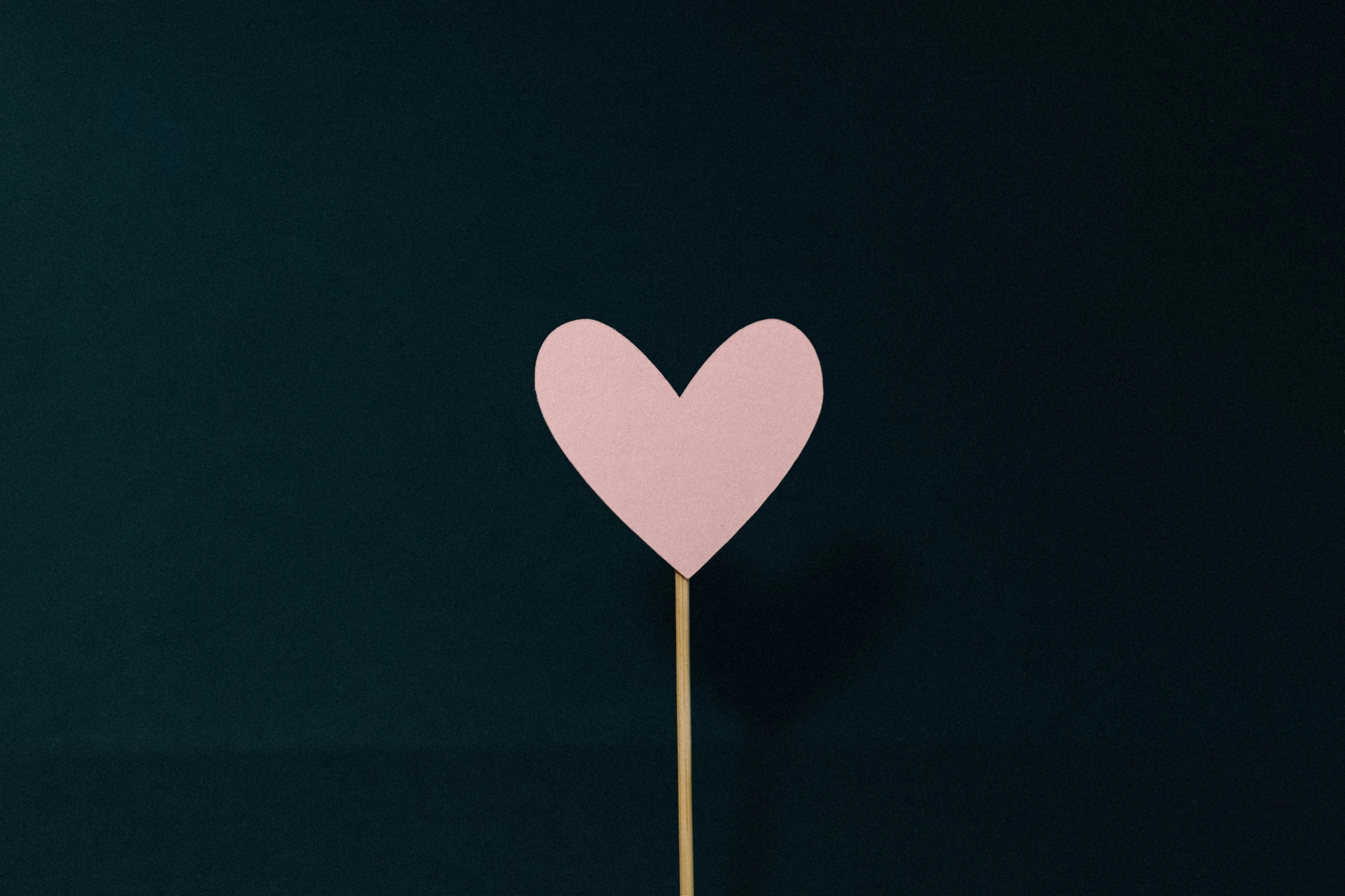 a heart shaped paper placed on a stick