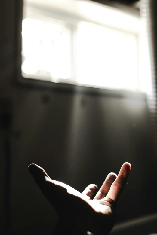 a hand reaching for soing with sunlight streaming through the window