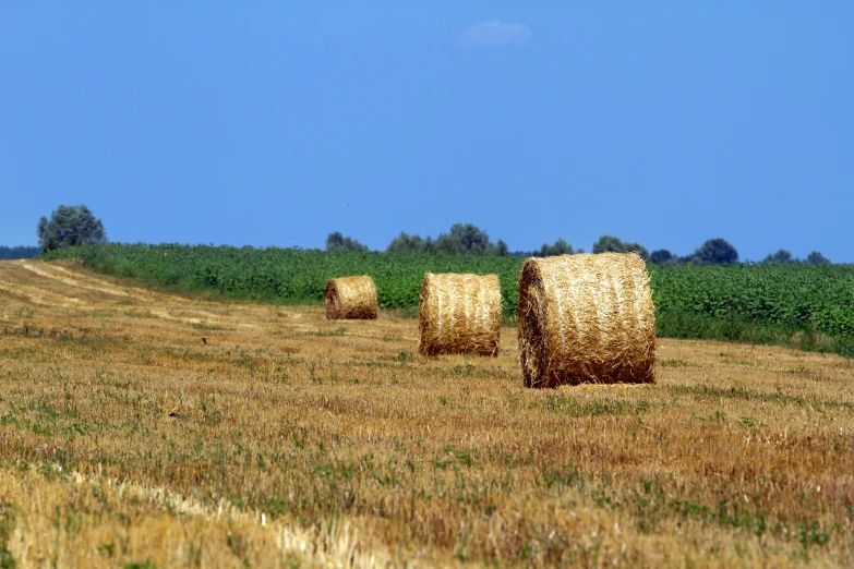 three bales of hay in a field that has no grass growing