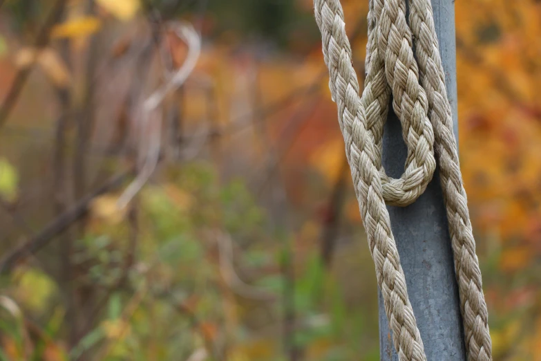 a rope tied to a pole next to some trees