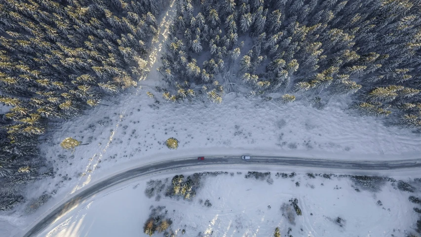 an aerial view of the road going through snowy pine trees