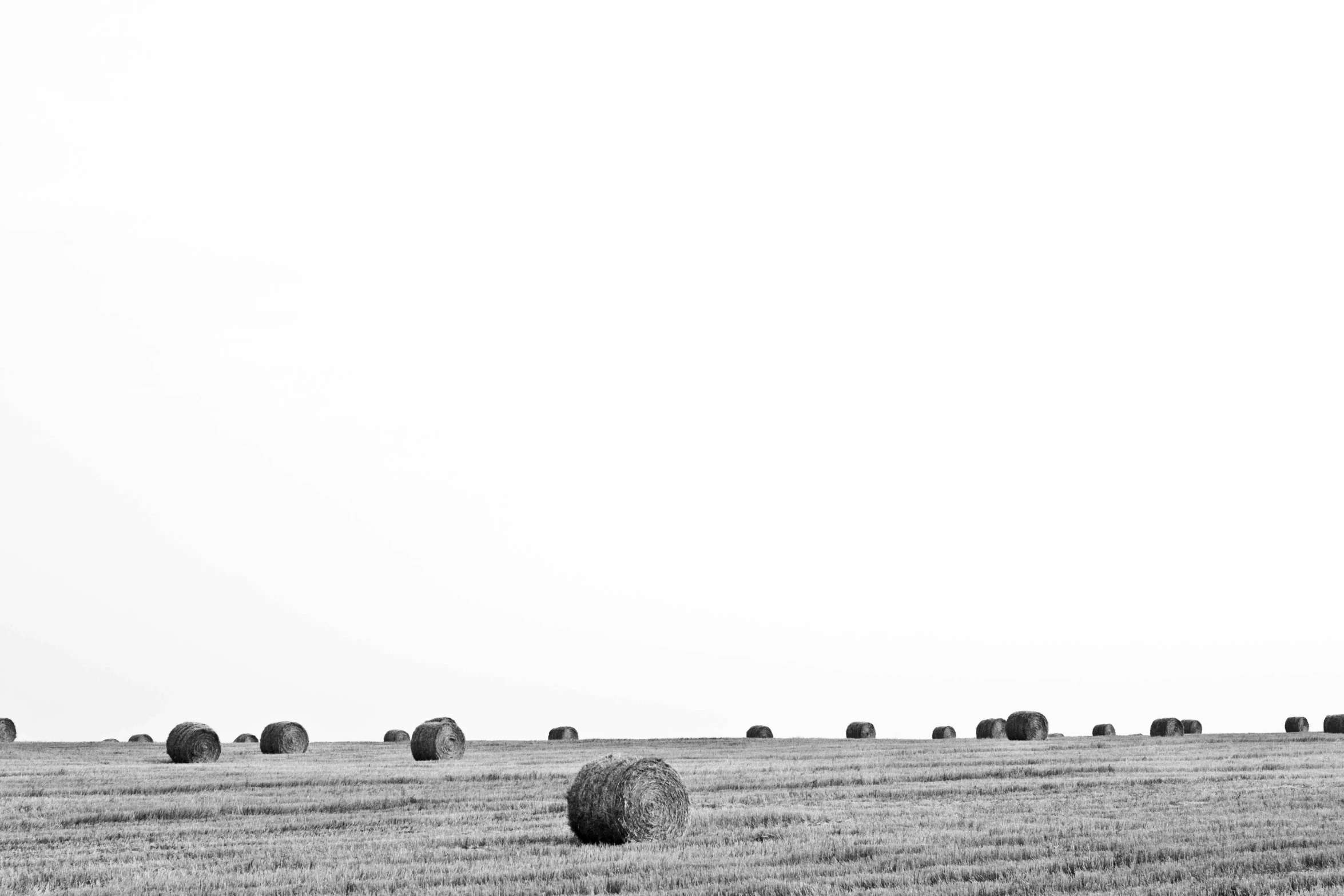 a bunch of bales in the middle of a field