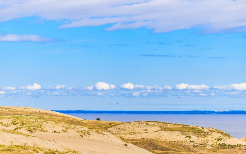 people stand in a field beside the ocean