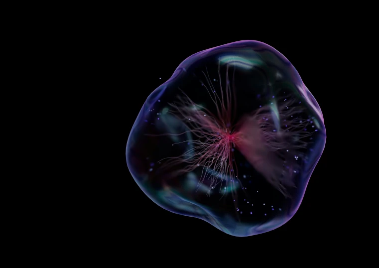 the side of a jellyfish with a dark background