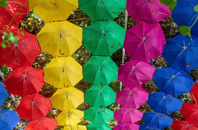 a wall of colorful umbrellas on display in the forest