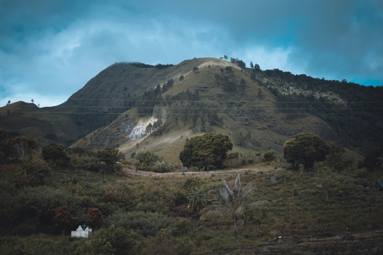 a green mountain with trees and some bushes