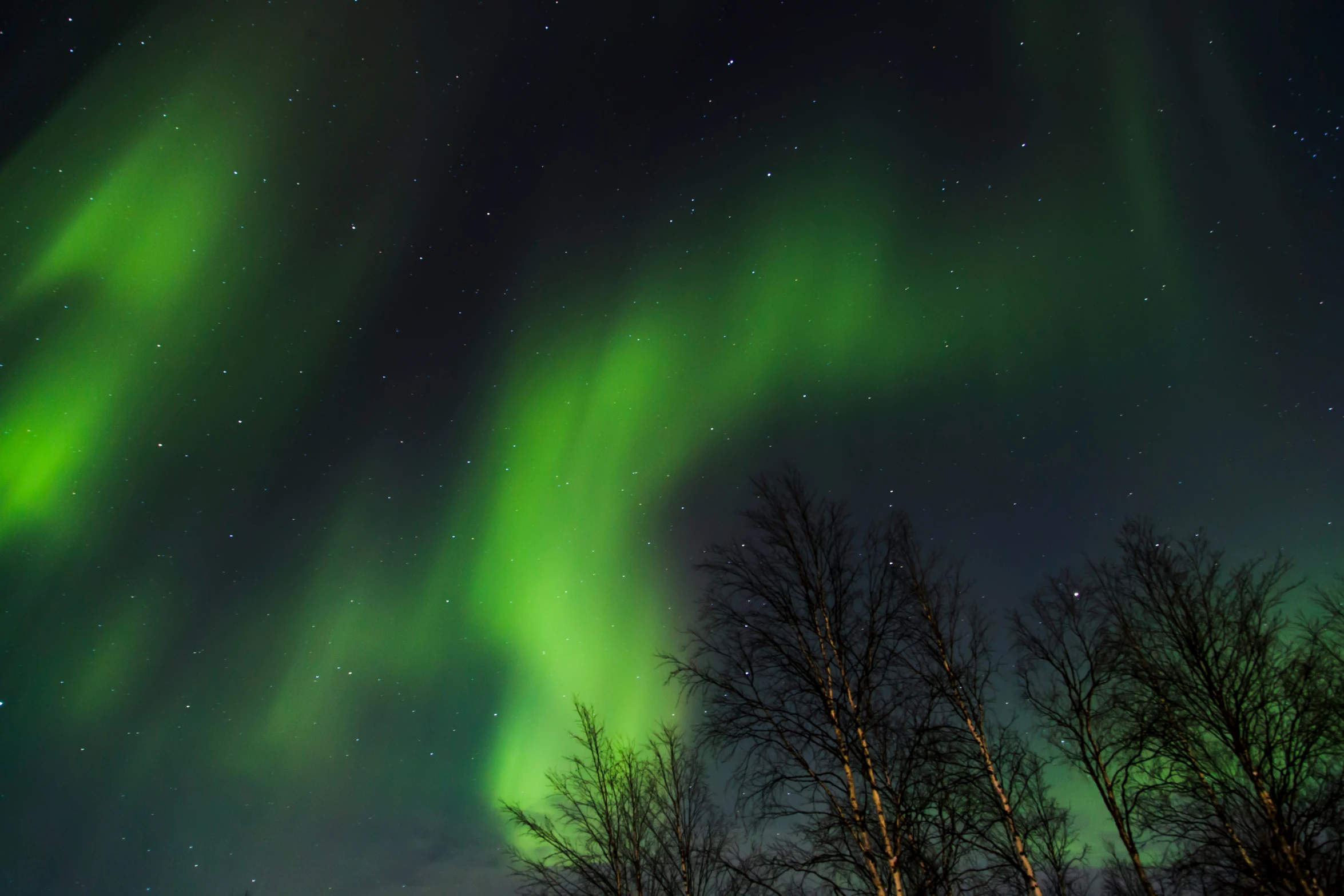 some sort of multi colored sky with many stars