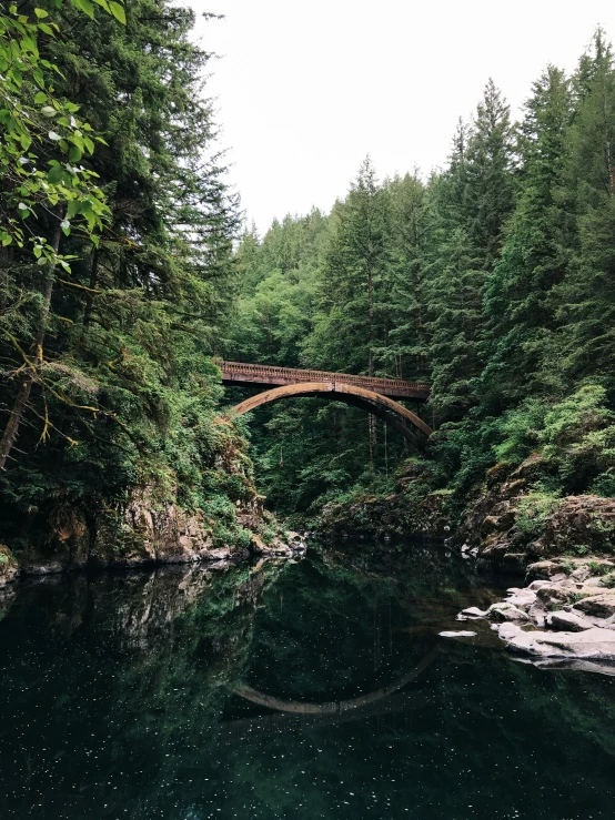 a small bridge over the river in a forest