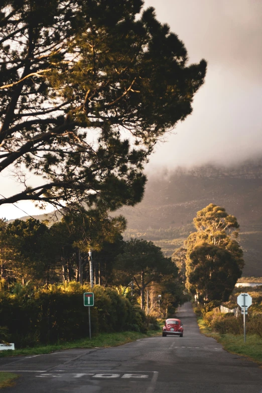 a red car driving down a road next to a forest