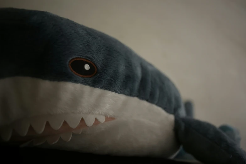 a stuffed shark with two eyes and a shark fin