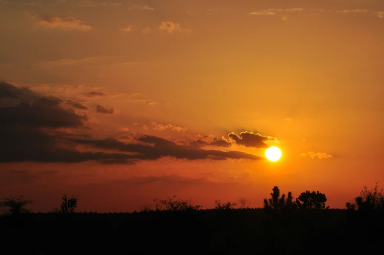 a sunset behind a treeline with a cloudy sky