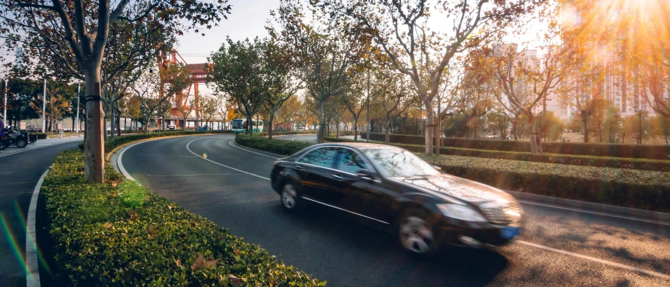 a car driving past several bushes on the side of the street