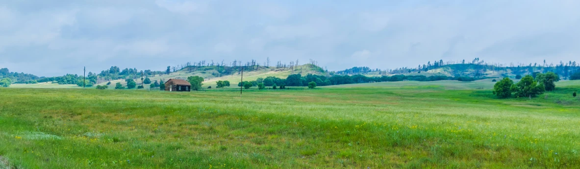 the fields in the country are green with trees