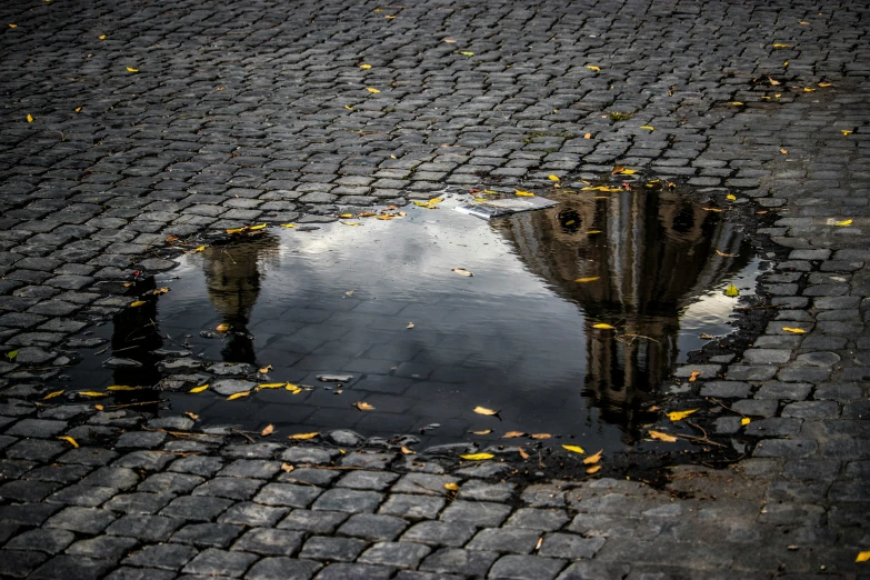 a wet dle on the street is reflecting its reflection in the surface