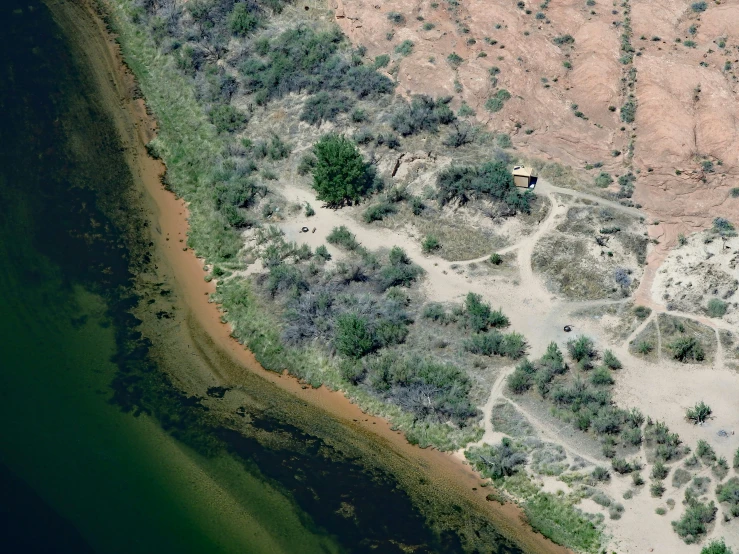 an aerial view of some plants in the middle of a plain