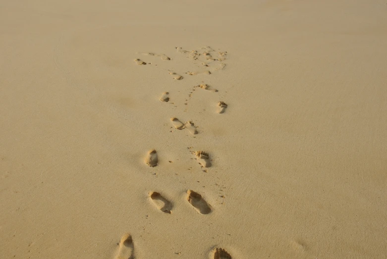 a person walking through the sand with footprints