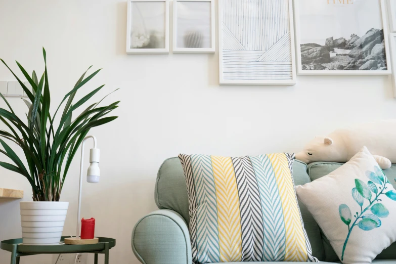 a couch sitting on a wooden floor next to a potted plant