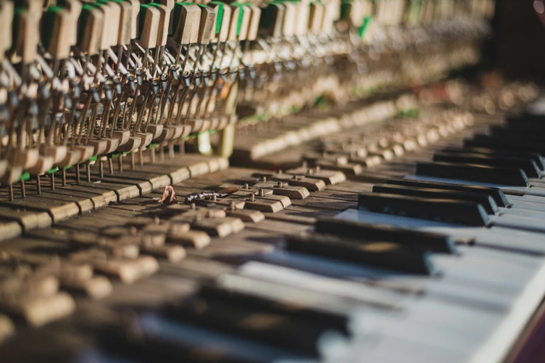 a close up s of a row of musical instruments