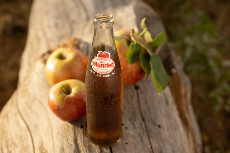 an apple cider, sitting on a picnic table with apples and a plant