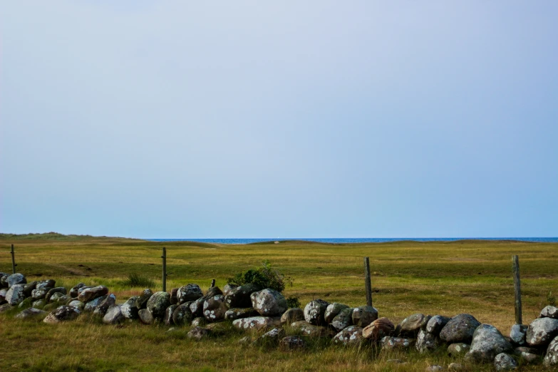 a large grass field with a rock wall by the edge