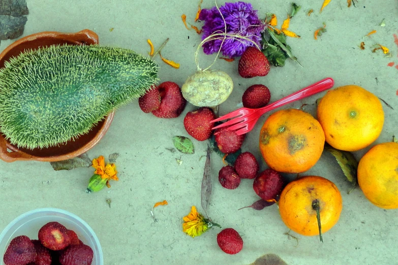 the fruit is laying on the sidewalk outside