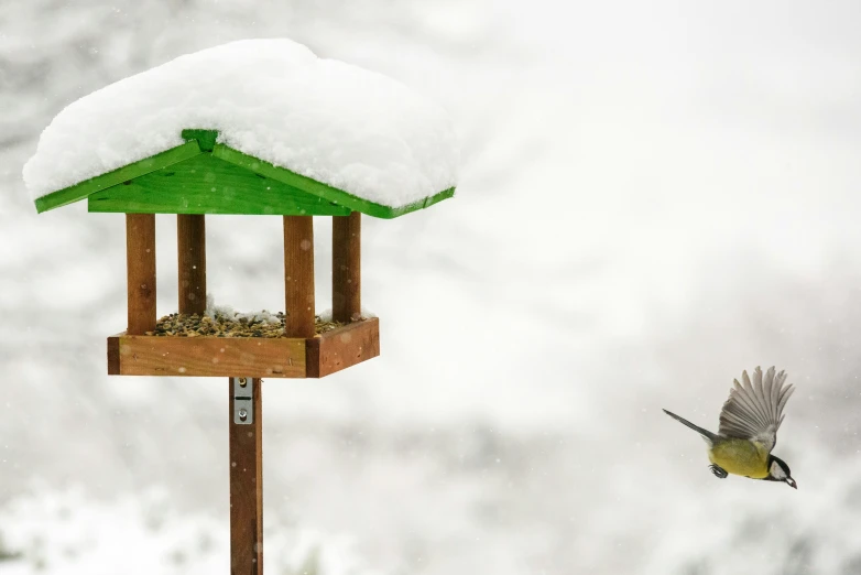 a bird flying through the air by a bird feeder