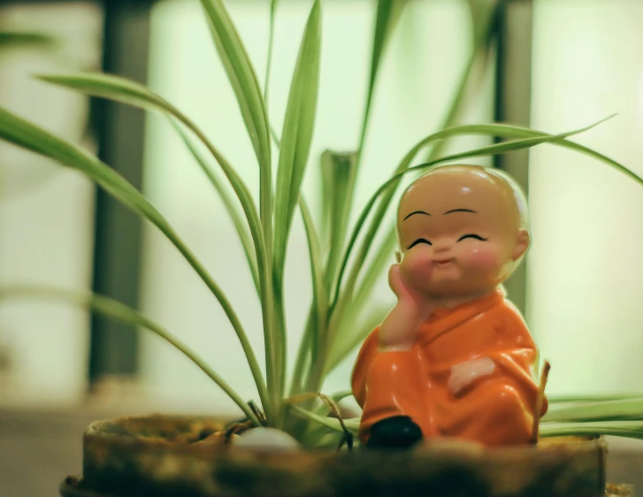 small potted plant with a small buddha statue