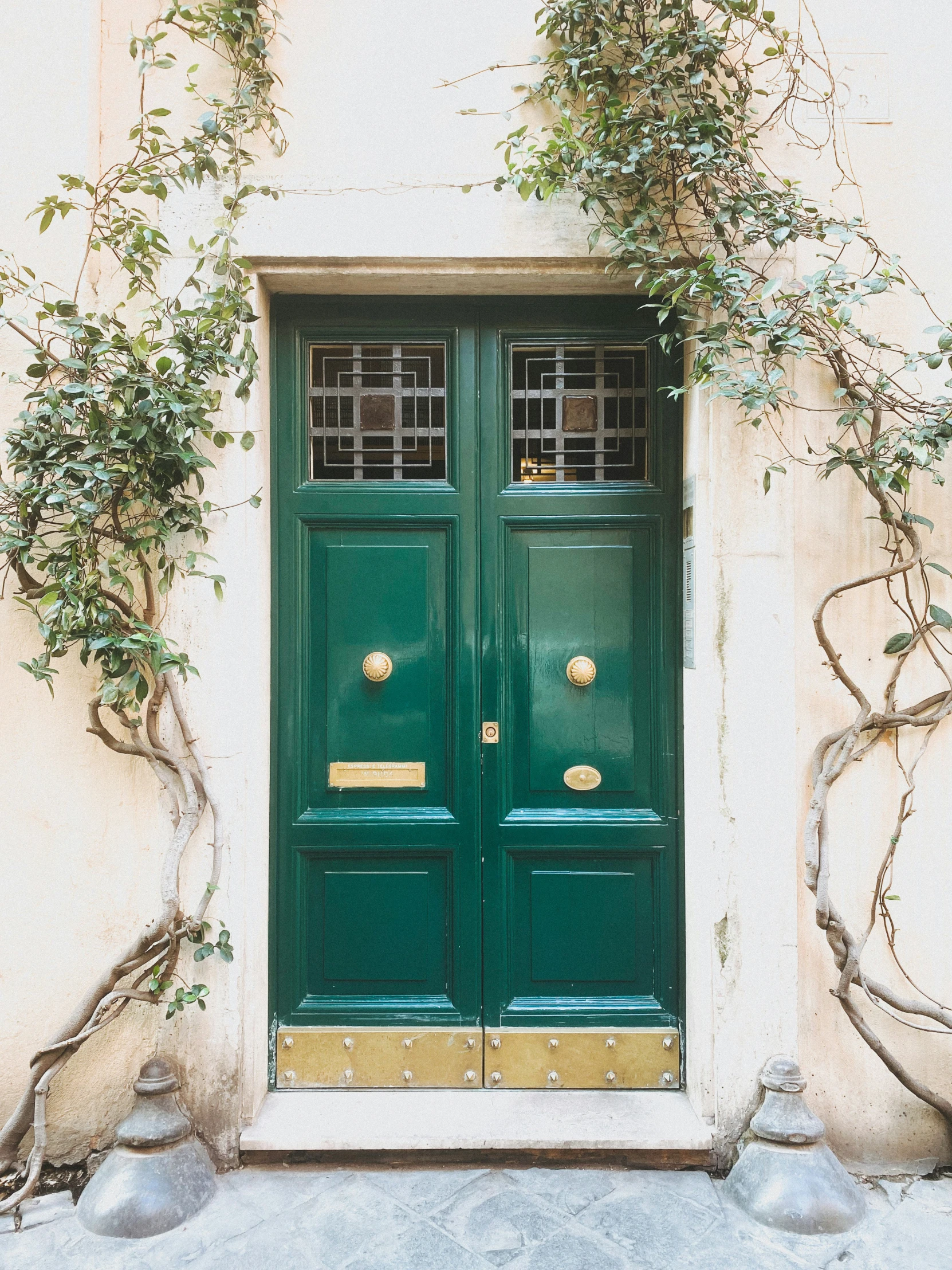 two doors are open with vines growing around them