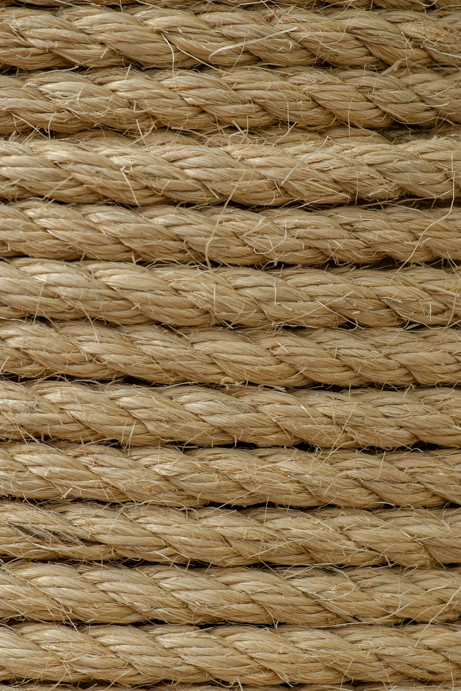 a close up view of rope in a piece of material