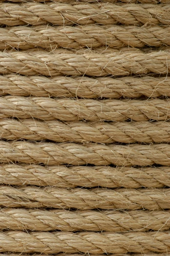 a close up view of rope in a piece of material