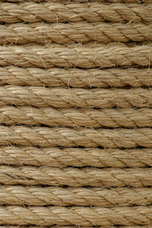 a close up view of rope in a piece of material