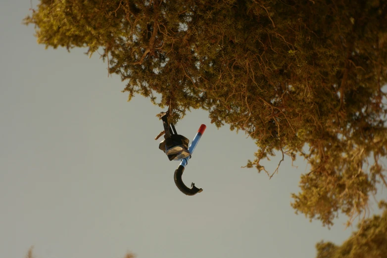 a person is skiing on a snowboard with a tree in the background