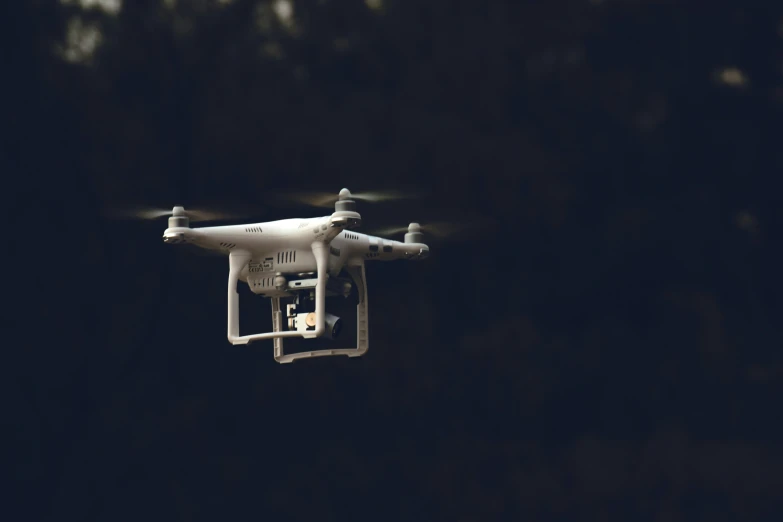 a large white flying over a tree covered forest