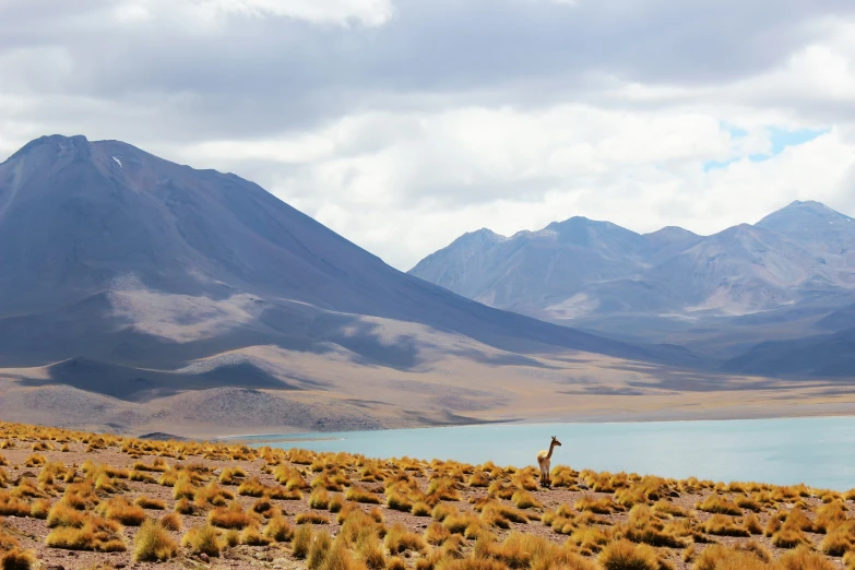 a large body of water surrounded by mountains