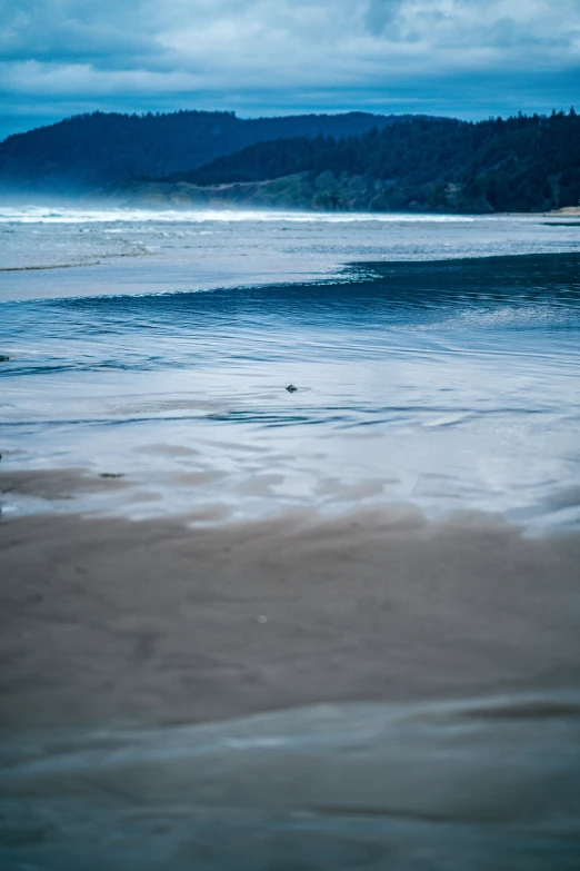 the bird is standing in shallow water on the beach